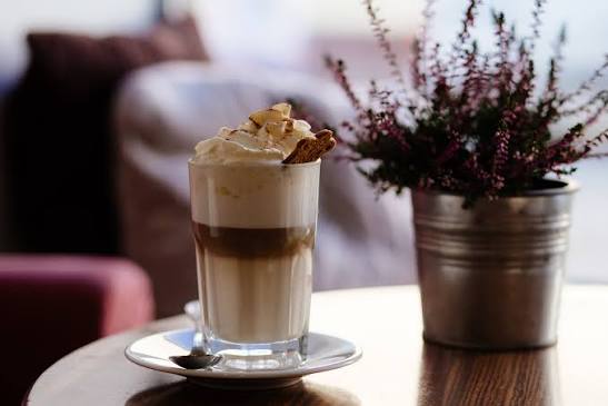 mushroom coffee for focus