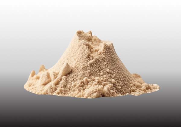 Lion's Mane mushroom